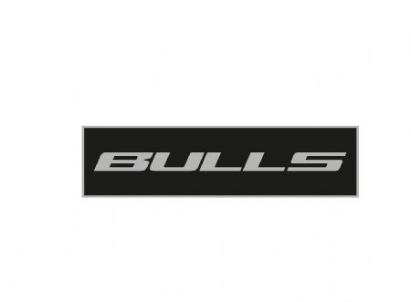 bulls-gris-4334.jpg