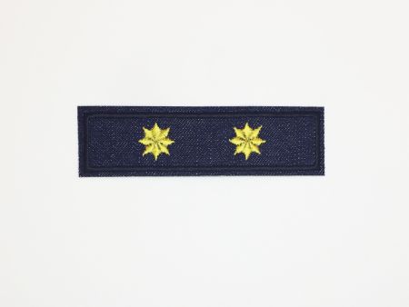 parche-2-estrellas-teniente-coronel-5556.jpg